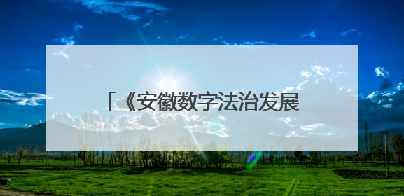 《安徽数字法治发展报告NO.1（2025）》蓝皮书发布