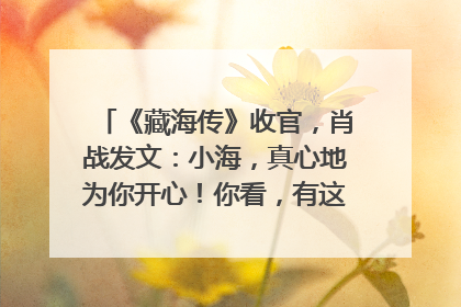 《藏海传》收官，肖战发文：小海，真心地为你开心！你看，有这么多人懂你！