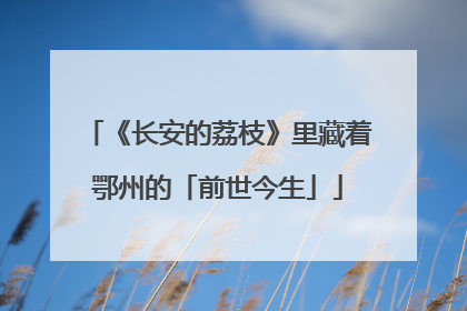 《长安的荔枝》里藏着鄂州的「前世今生」