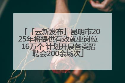 「云新发布」昆明市2025年将提供有效就业岗位16万个 计划开展各类招聘会200余场次