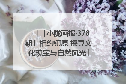 「小陇画报·378期」相约镇原 探寻文化瑰宝与自然风光