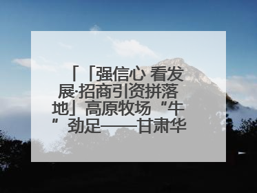 「强信心 看发展·招商引资拼落地」高原牧场“牛”劲足——甘肃华予高原牧场高标准奶牛肉牛养殖项目一线见闻