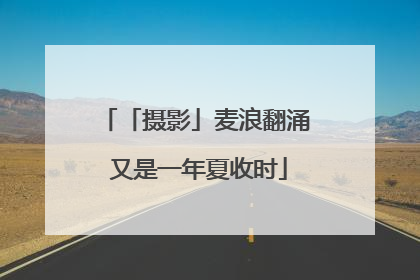 「摄影」麦浪翻涌 又是一年夏收时