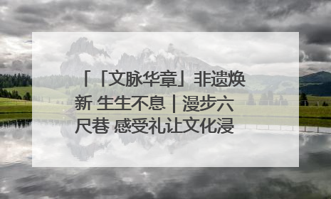 「文脉华章」非遗焕新 生生不息｜漫步六尺巷 感受礼让文化浸润的“巷”往生活