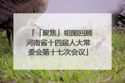 「聚焦」组图回顾河南省十四届人大常委会第十七次会议