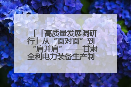 「高质量发展调研行」从“面对面”到“肩并肩”——甘肃全利电力装备生产制造项目一线见闻