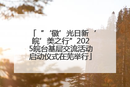 “‘徽’光日新‘皖’美之行”2025皖台基层交流活动启动仪式在芜举行