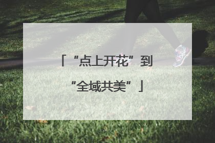 “点上开花”到“全域共美”