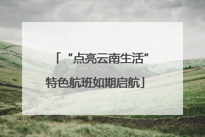 “点亮云南生活”特色航班如期启航