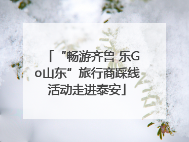 “畅游齐鲁 乐Go山东”旅行商踩线活动走进泰安