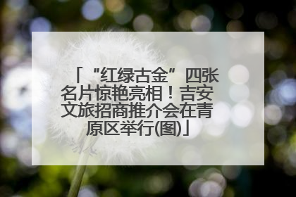 “红绿古金”四张名片惊艳亮相！吉安文旅招商推介会在青原区举行(图)