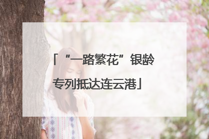 “一路繁花”银龄专列抵达连云港