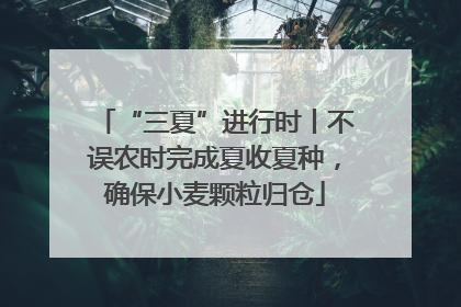 “三夏”进行时丨不误农时完成夏收夏种，确保小麦颗粒归仓