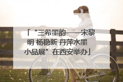 “三希墨韵——宋黎明 杨稳新 丹萍水墨小品展”在西安举办