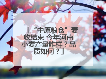“中原粮仓”麦收结束 今年河南小麦产量咋样？品质如何？