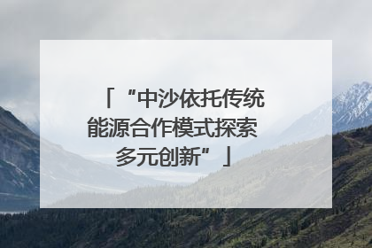 “中沙依托传统能源合作模式探索多元创新”