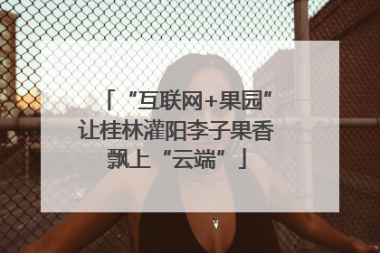 “互联网+果园”让桂林灌阳李子果香飘上“云端”