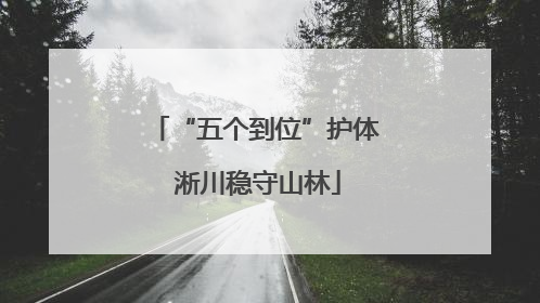 “五个到位”护体 淅川稳守山林