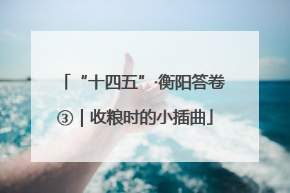 “十四五”·衡阳答卷③｜收粮时的小插曲