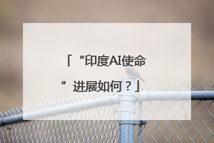 “印度AI使命”进展如何？