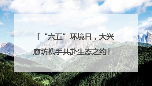 “六五”环境日，大兴廊坊携手共赴生态之约