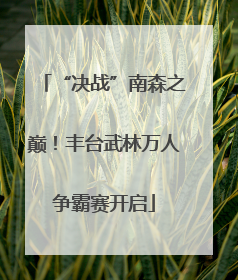 “决战”南森之巅！丰台武林万人争霸赛开启