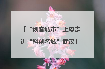 “创客城市”上虞走进“科创名城”武汉