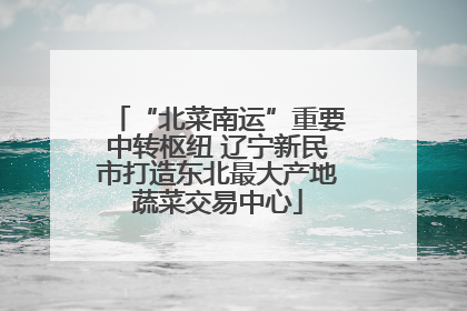 “北菜南运”重要中转枢纽 辽宁新民市打造东北最大产地蔬菜交易中心