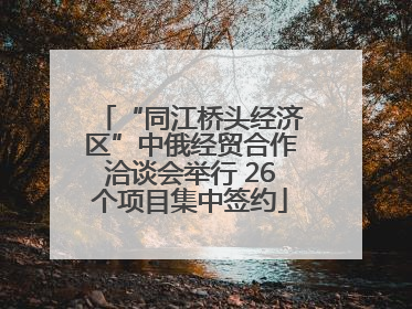 “同江桥头经济区”中俄经贸合作洽谈会举行 26个项目集中签约