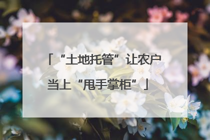 “土地托管”让农户当上“甩手掌柜”