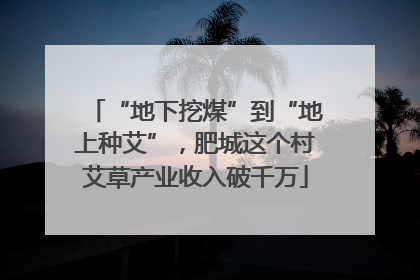“地下挖煤”到“地上种艾”，肥城这个村艾草产业收入破千万