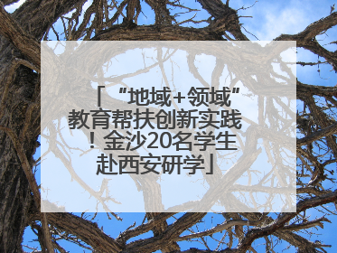 “地域+领域”教育帮扶创新实践！金沙20名学生赴西安研学