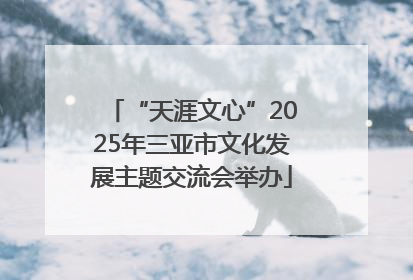 “天涯文心”2025年三亚市文化发展主题交流会举办