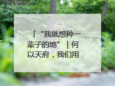 “我就想种一辈子的地”｜何以天府，我们用粮食作答②