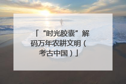 “时光胶囊”解码万年农耕文明（考古中国）