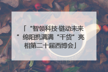 “智领科技·链动未来”绵阳携满满“干货”亮相第二十届西博会