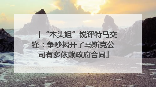 “木头姐”锐评特马交锋：争吵揭开了马斯克公司有多依赖政府合同