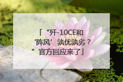 “歼-10CE和‘阵风’孰优孰劣？”官方回应来了