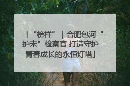 “榜样”｜合肥包河“护未”检察官 打造守护青春成长的永恒灯塔