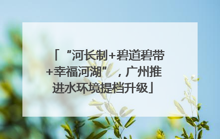 “河长制+碧道碧带+幸福河湖”，广州推进水环境提档升级