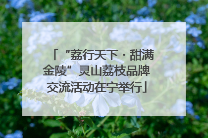 “荔行天下・甜满金陵”灵山荔枝品牌交流活动在宁举行