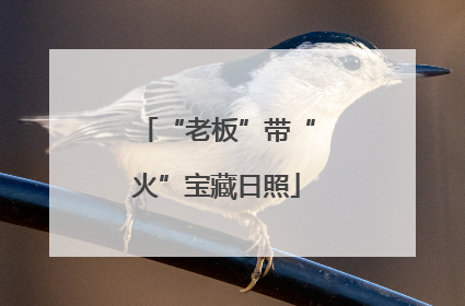 “老板”带“火”宝藏日照