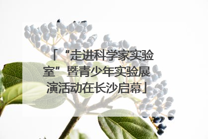 “走进科学家实验室”暨青少年实验展演活动在长沙启幕