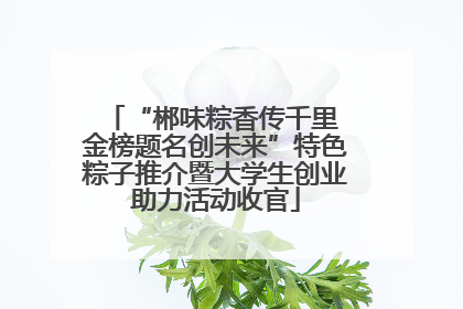 “郴味粽香传千里 金榜题名创未来”特色粽子推介暨大学生创业助力活动收官