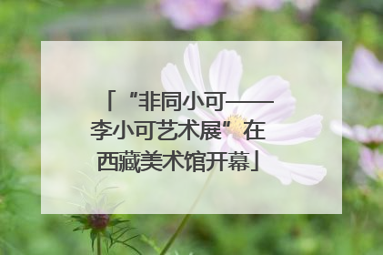 “非同小可——李小可艺术展”在西藏美术馆开幕