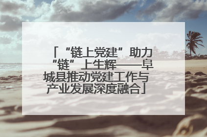 “链上党建”助力“链”上生辉——阜城县推动党建工作与产业发展深度融合