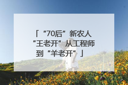 “70后”新农人“王老开”从工程师到“羊老开”
