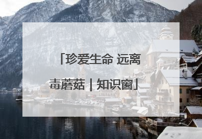 珍爱生命 远离毒蘑菇｜知识窗
