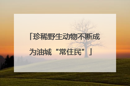 珍稀野生动物不断成为油城“常住民”
