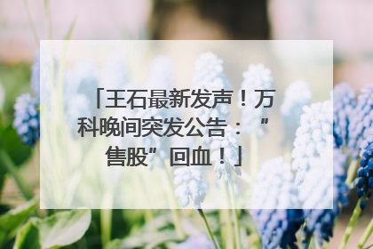 王石最新发声！万科晚间突发公告：“售股”回血！